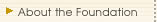 About the Foundation